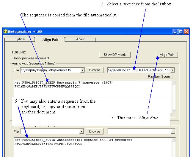 Screen shot.  Align Global dialog box.  Specify second sequence via paste or keyboard.